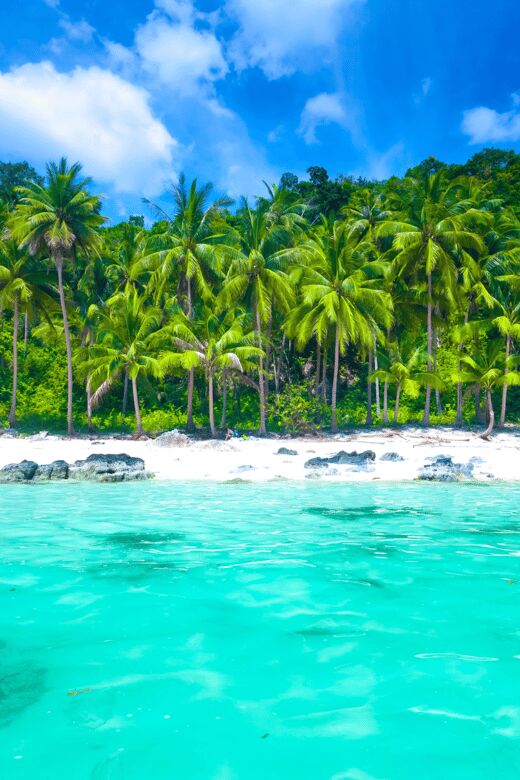 From Samui: Angthong National Park Snorkeling & Kayaking - Key Points