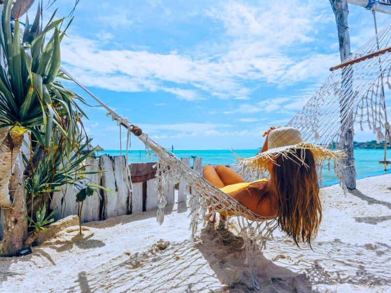 From Samui: Koh Tao and Nangyuan Snorkeling Speedboat Tour - The Sum Up