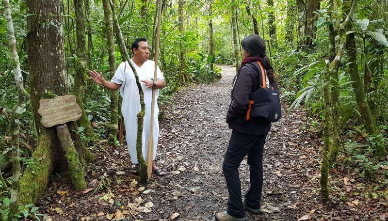 From San Cristóbal: Lacandona Jungle 3 Days Tour - Key Points