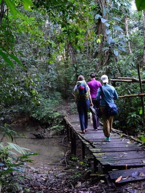 From San Cristóbal: Lacandona Jungle 3 Days Tour - Final Thoughts