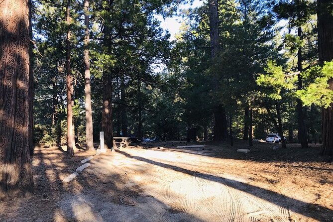 from-san-diego-two-day-camping-and-hiking-adventure-in-idyllwild