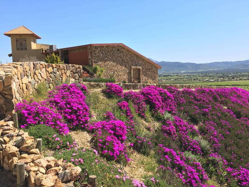 From San Diego: Valle de Guadalupe Private Wine Tasting Tour - Practical Details and Tips