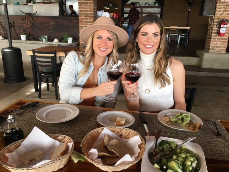 from-san-diego-valle-de-guadalupe-private-wine-tasting-tour