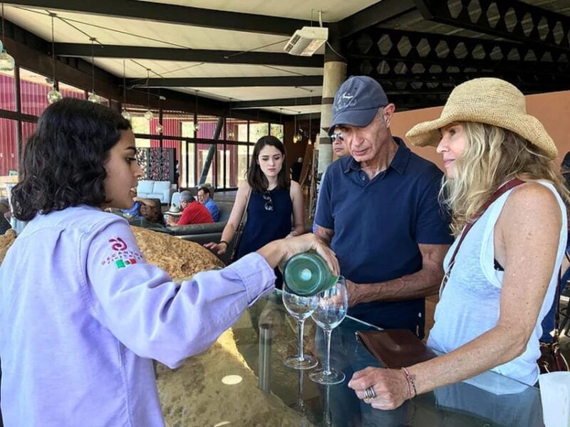 from-san-diego-valle-de-guadalupe-private-wine-tasting-tour
