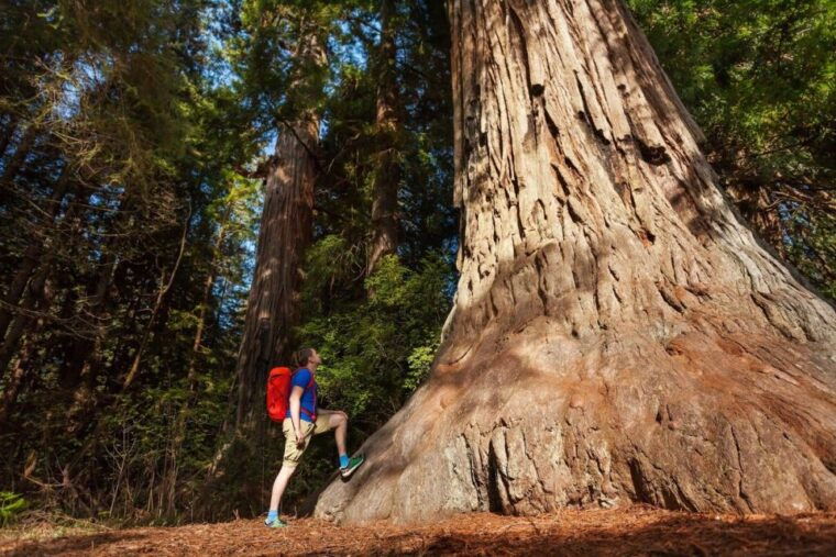 from-san-francisco-2-day-yosemite-guided-trip-with-pickup