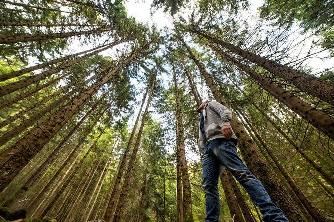 from-san-francisco-alcatraz-island-guided-muir-woods-tour-2