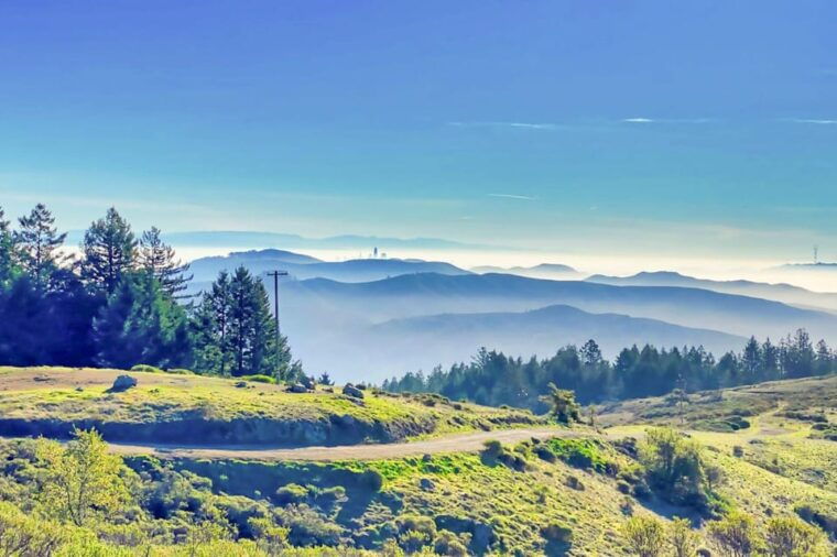 from-san-francisco-alcatraz-night-tour-muir-woods-and-wine