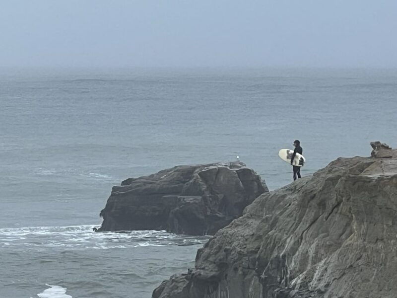 from-san-francisco-carmel-monterey-big-sur-private-tour