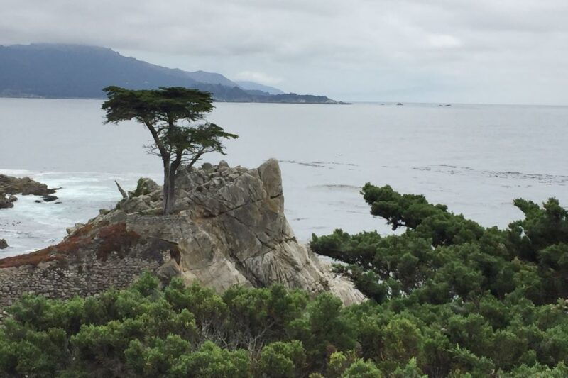 from-san-francisco-carmel-monterey-big-sur-private-tour