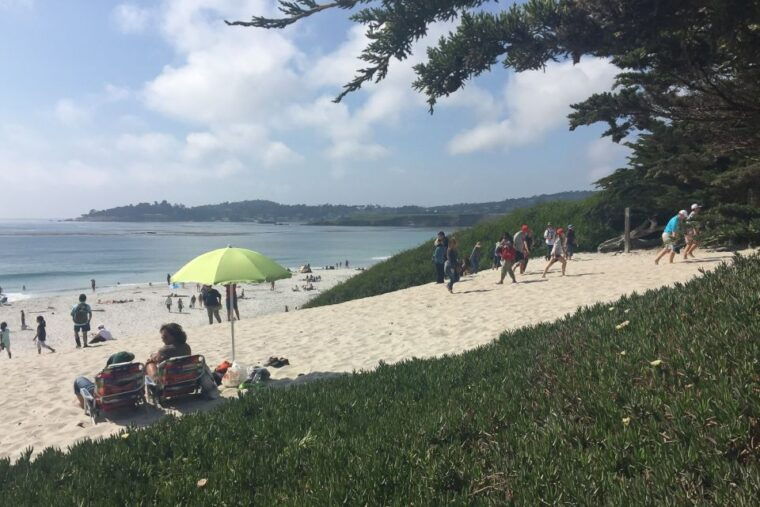 from-san-francisco-carmel-monterey-big-sur-private-tour