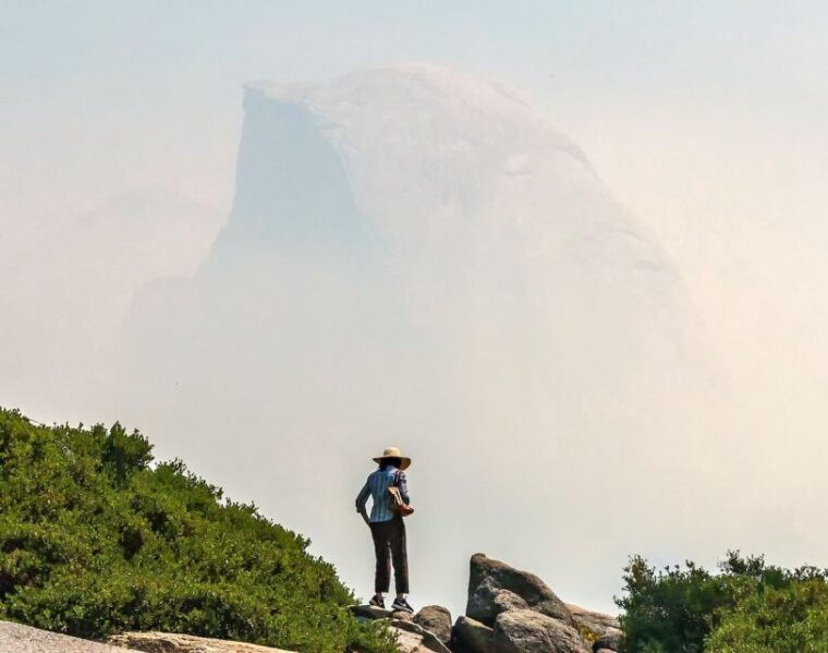 from-san-francisco-curry-village-2-day-national-park-tour