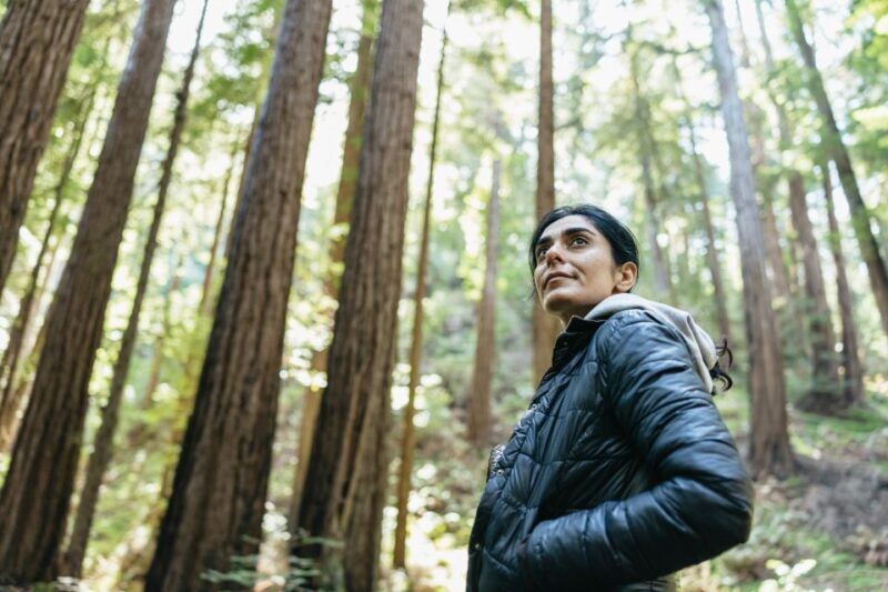 From San Francisco: Guided Muir Woods Tour - The Itinerary In-Depth