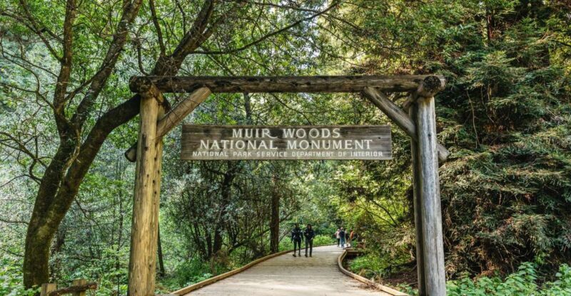 From San Francisco: Guided Muir Woods Tour - Authentic Insights from Travelers