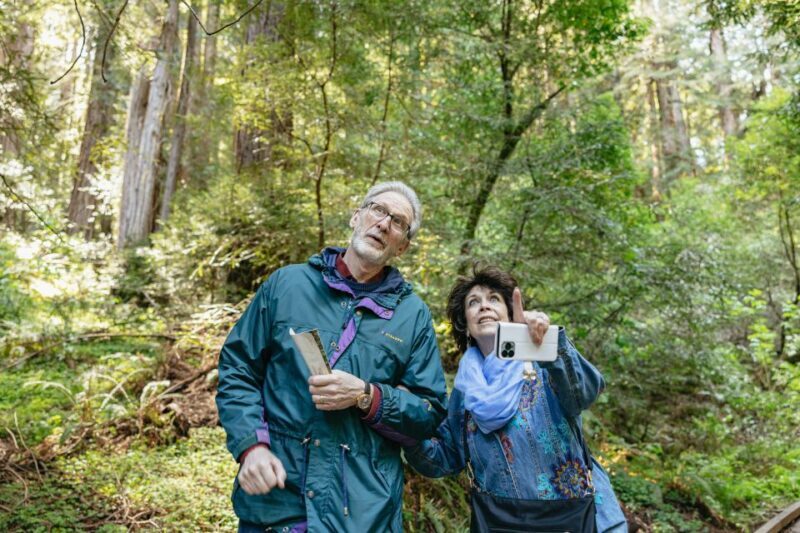From San Francisco: Guided Muir Woods Tour - Final Thoughts