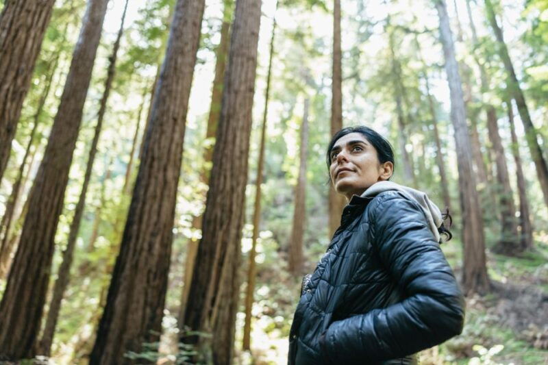 from-san-francisco-guided-muir-woods-tour