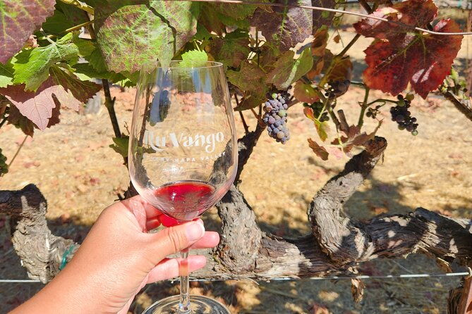from-san-francisco-half-day-wine-country-tour-with-tastings