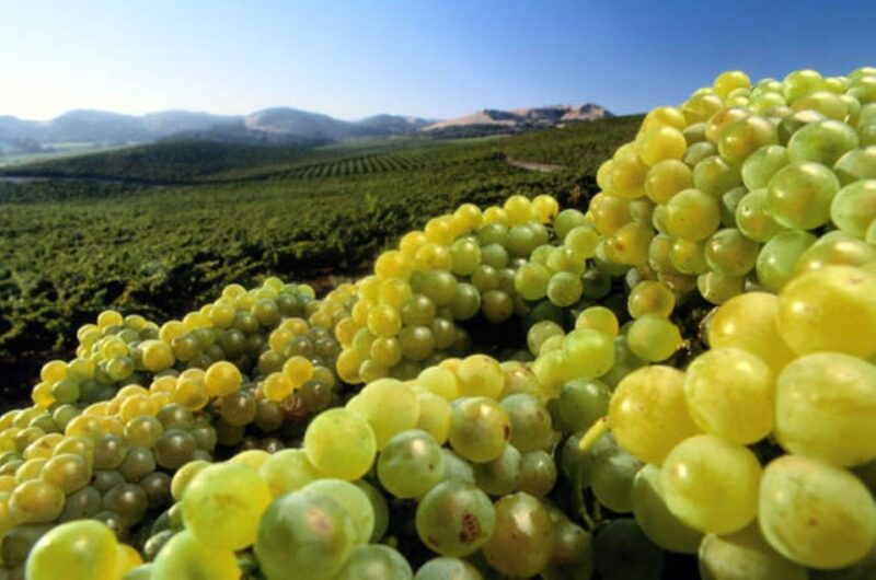 from-san-francisco-healdsburg-wine-tour-and-tasting