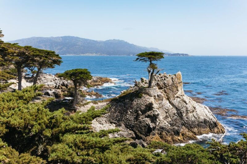 from-san-francisco-monterey-and-carmel-day-tour