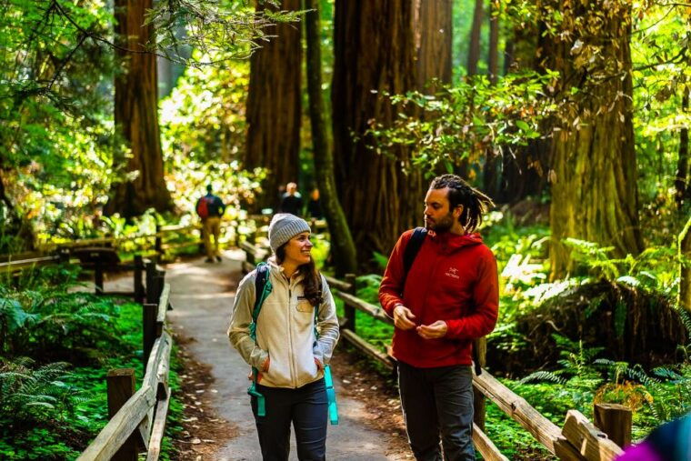 from-san-francisco-muir-woods-and-sausalito-half-day-trip