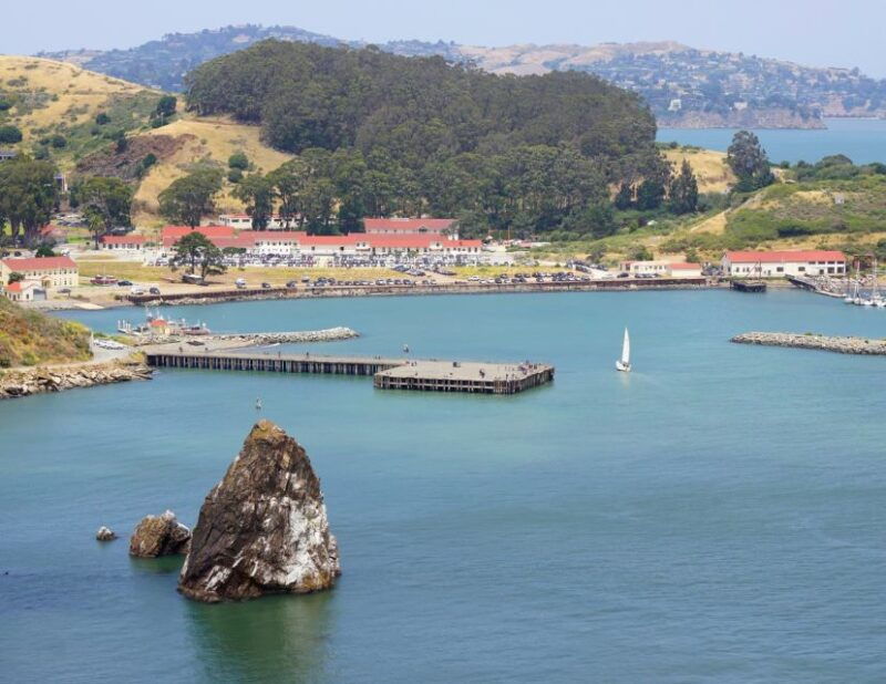 from-san-francisco-muir-woods-redwood-forest-tour