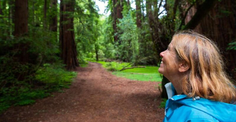 from-san-francisco-muir-woods-redwood-forest-tour
