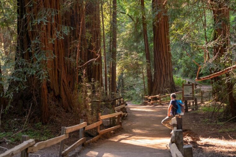 from-san-francisco-muir-woods-redwood-forest-tour
