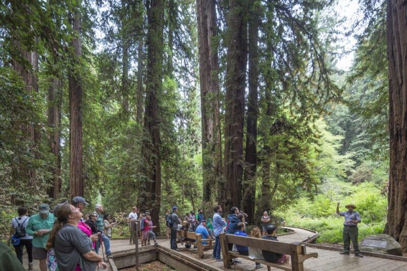 from-san-francisco-muir-woods-sausalito-and-alcatraz-tour
