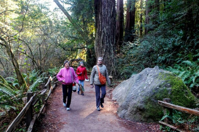 from-san-francisco-muir-woods-wine-tour-with-napa-sonoma