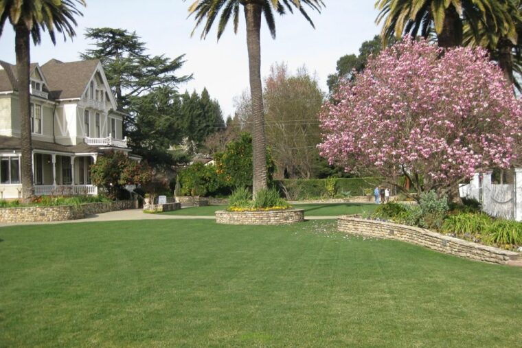 from-san-francisco-napa-sonoma-valley-full-day-wine-tour-2