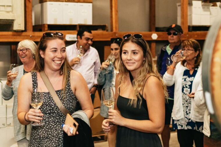 from-san-francisco-napa-sonoma-valley-full-day-wine-tour