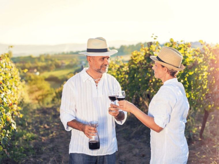 from-san-francisco-napa-sonoma-wine-country-private-tour