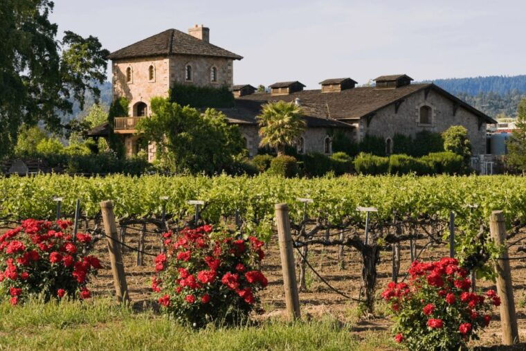 from-san-francisco-napa-sonoma-wine-country-private-tour