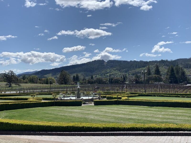 from-san-francisco-private-muir-woods-and-napa-wine-tour