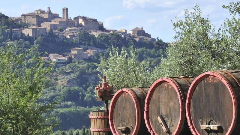 From San Gimignano: Brunello Wine Tour - Who Will Love This Tour?