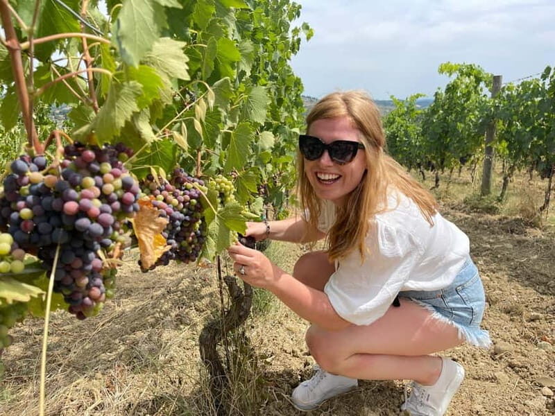 From San Gimignano: Chianti Wine tour with 2 wineries - Who This Tour Fits Best