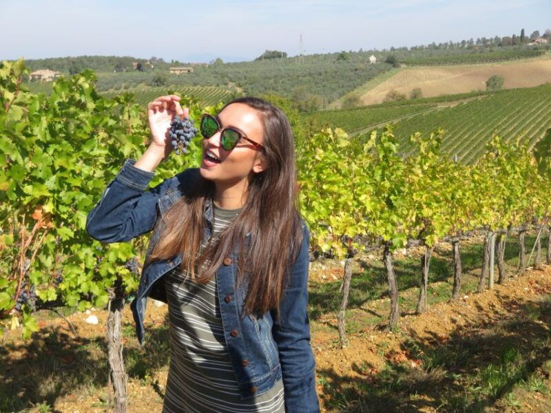 from-san-gimignano-half-day-chianti-wine-tour