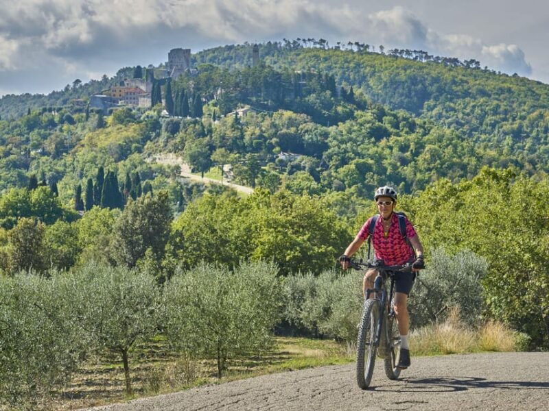 from-san-gimignano-to-siena-e-bike-tourtransfer-service