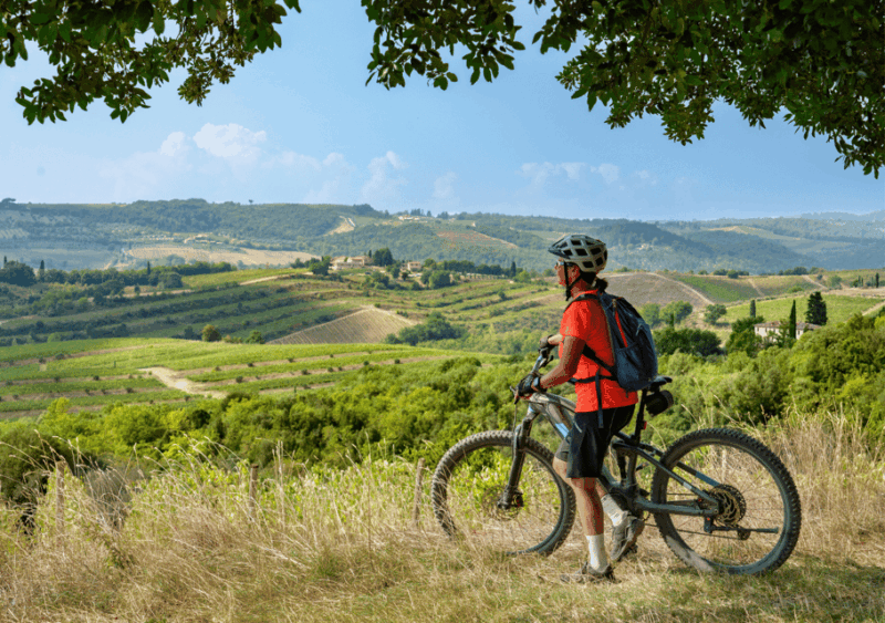 from-san-gimignano-to-siena-e-bike-tourtransfer-service