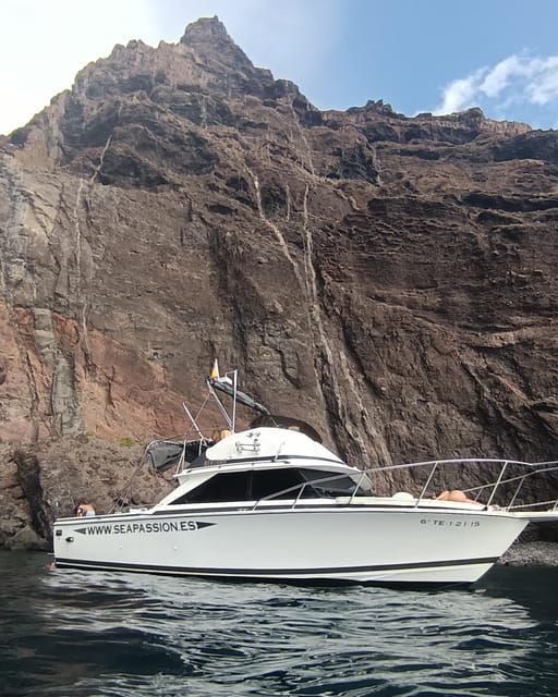 from-san-juan-beach-marine-life-cruise