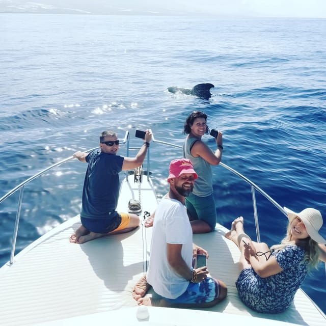 from-san-juan-beach-marine-life-cruise