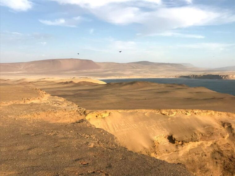 from-san-martin-ballestas-islands-and-paracas-reserve