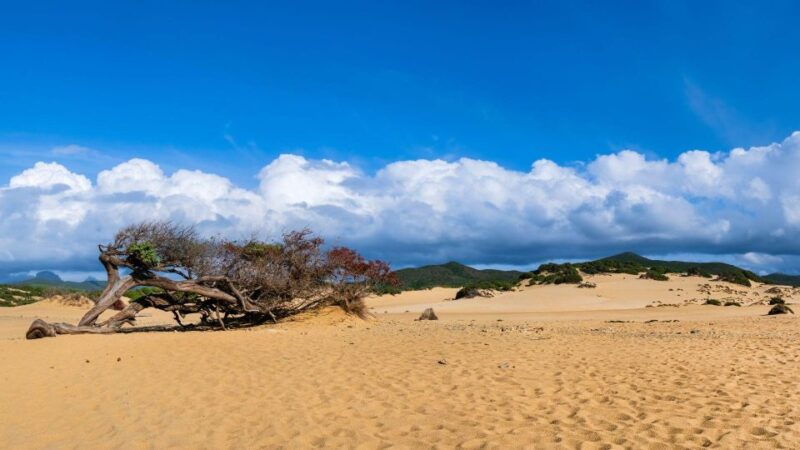 from-san-nicolo-darcidano-costa-verde-off-road-trip