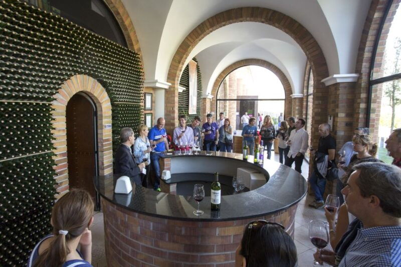 from-san-sebastian-bilbao-vitoria-la-rioja-wineries-tour
