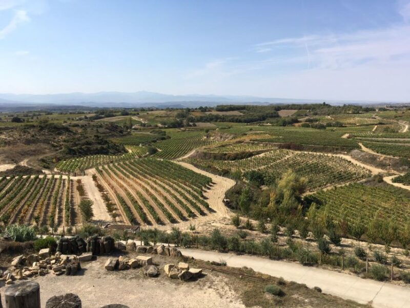 from-san-sebastian-bilbao-vitoria-rioja-wine-tour-w-lunch