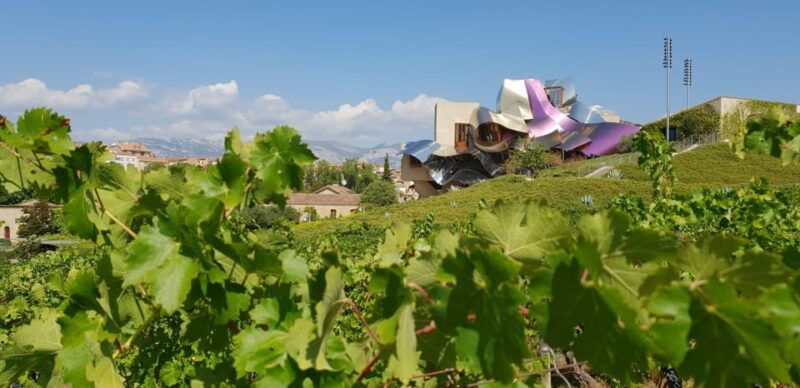 from-san-sebastian-bilbao-vitoria-rioja-wine-tour-w-lunch