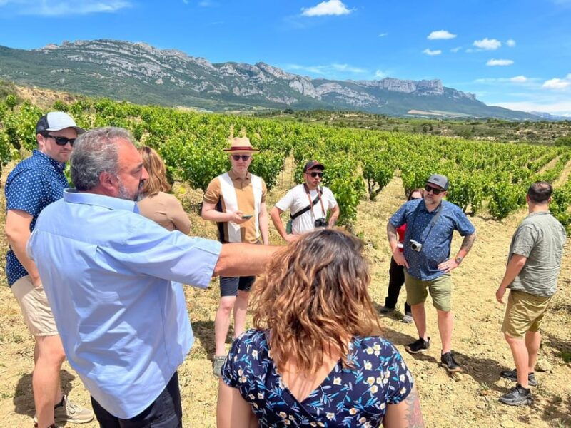 from-san-sebastian-bilbao-vitoria-rioja-wine-tour-w-lunch