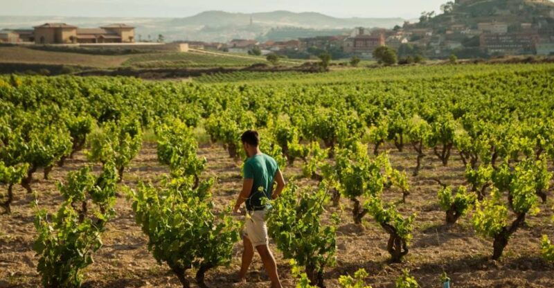 from-san-sebastian-la-rioja-wine-region-day-tour