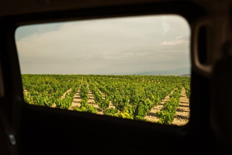 from-san-sebastian-rioja-uncorked-private-wineries-trip