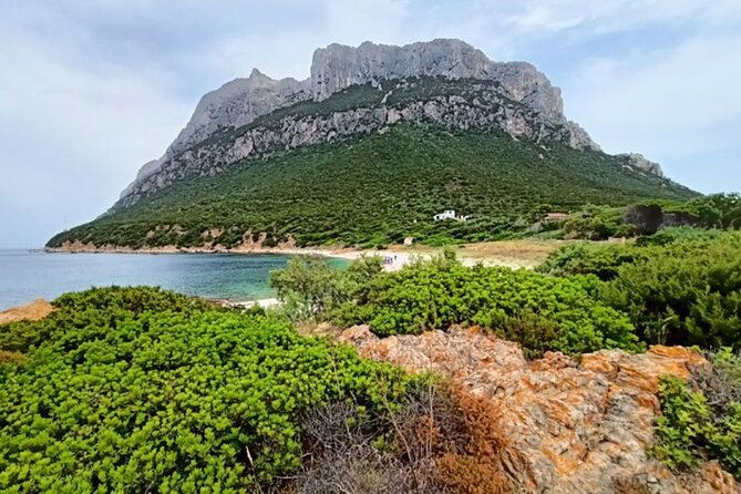 from-san-teodoro-mini-tour-of-the-tavolara-archipelago