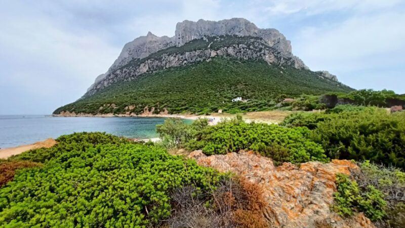 From San Teodoro: Tavolara Archipelago Dinghy Mini Tour - Practical Tips for Your Trip